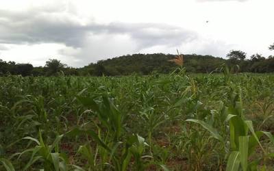 XOK K'IIN: TÚUMBEN JA'AB, ÚUCHBEN XOOK / Hilegunak: urte berria, irakurketa zaharra