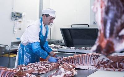 Zubillagako hiltegia, "bide onean eta gogoz"