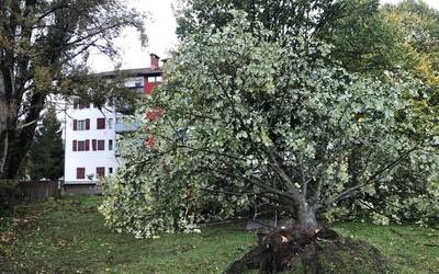 Abisu horia iragarri dute haizeagatik, zapatu gauetik domeka goizera arte