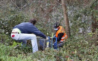 Urola Bizirik natur taldeak 'U30 Aldaketaldia' ekimenari lotutako erreka garbiketa egin du