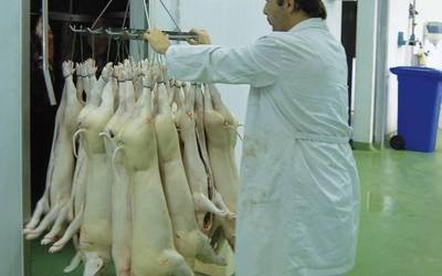 Baztango Navarra Sumak irregulartasunak ikusten ditu Loizu hiltegiaren kudeaketan