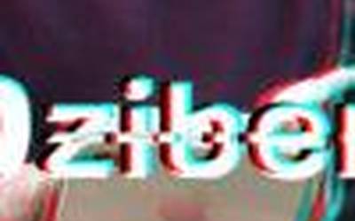 Bigarren  Bziber  lehiaketaren  saridunak