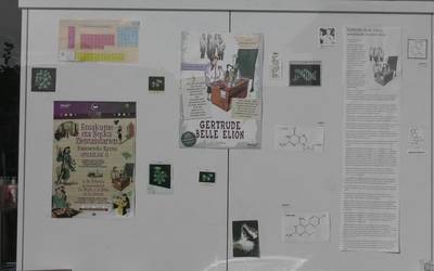 Tolosaldeko 34 dendek  #ErakusleihoakO11 ekimenarekin  bat egin dute