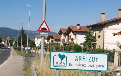 Ama hizkuntza edo lehen hizkuntza
