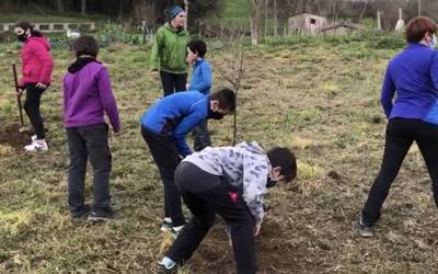 Herriko zuhaitzak jolas bidez ezagutu ostean, lau berri landatu dituzte