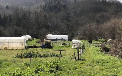 Otxandioko 11Lore elkarteak ortu bat kudeatuko du beharrizana duten familiekin elkarlanean