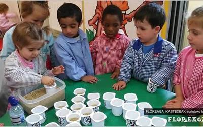 Floreaga Ikastetxeari aipamen berezia, Aztertu programan