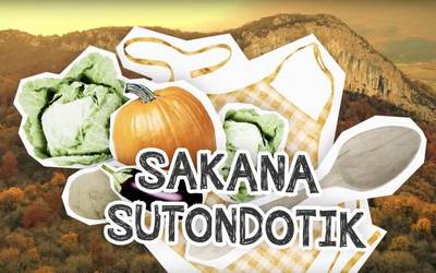 Bertako euskara eta produktuak ikusgarri egiteko bideoak