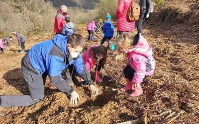 Haurrak eta gurasoak zuhaitzak landatzen aritu dira Areson