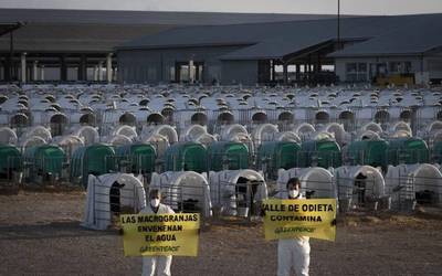 Greenpeacek bi tona ur kutsatu itzuli dizkio Caporrosoko behi haztegiari