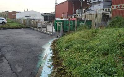 Ekologistak Martxanek salatu du Asua ibaia kutsatuta dagoela