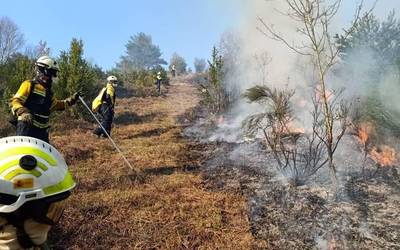 Zutarten, Sunbilla eta Arantza artean, ote eta sasi erretzeak egin zituzten atzo