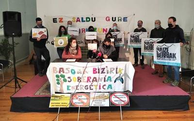 Haize- eta eguzki-poligonoen aurkako manifestua sinatu dute Nafarroako hainbat erakundek