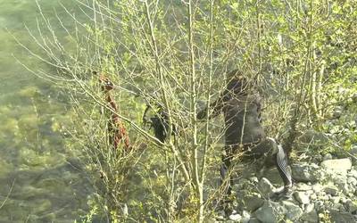 7 metro kubiko hondakin bildu dira ibai garbiketan