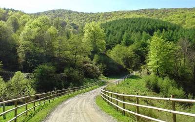 Trail Gazers argazki lehiaketa antolatu du Plazaola Partzuergoak