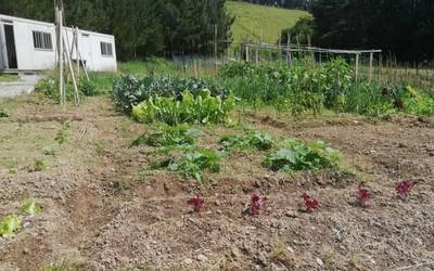 Bihar arratsaldean bisitatuko du Zumaia Ekogunearen Furgobaratzeak