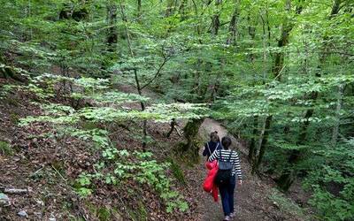 Bertiz Natur Parkeak bidexken sarea zabaldu du berriz ere