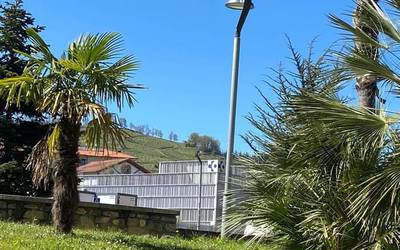 COVID-19 birusaren 12 positibo berri atzeman zituen atzo Osakidetzak Aiaraldean