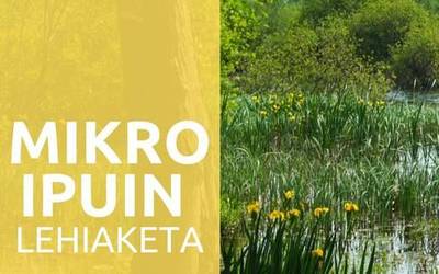 GEU Elkarteak Twitter bidezko mikroipuin lehiaketa bat antolatu du
