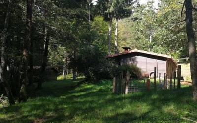 Aste Santuan bisitari gutxi egonda, egoera aldatzeko zain