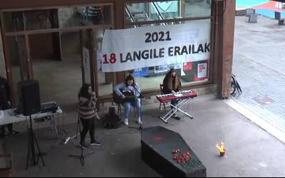 Langileen aldeko eskualdeko aldarriak, bideoan