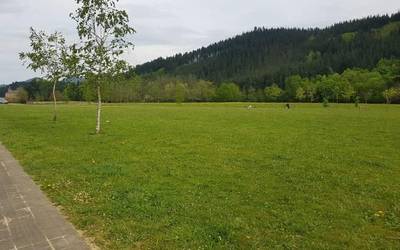 Pump Trackaren kokapena herri galdeketa bidez erabakitzea proposatu du Abadiñoko EH Bilduk
