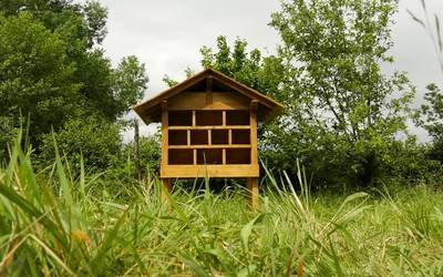 Oiangu parkean Eskaralimania intsektuentzako hotela