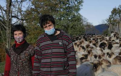 Latxa artilea, moda diseinutik gero eta gertuago