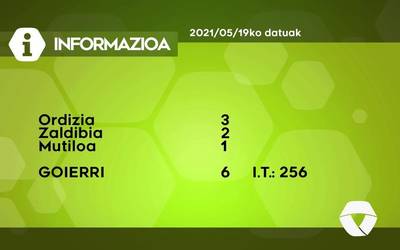 6 COVID-19 kasu detektatu dituzte asteazkenean Goierrin