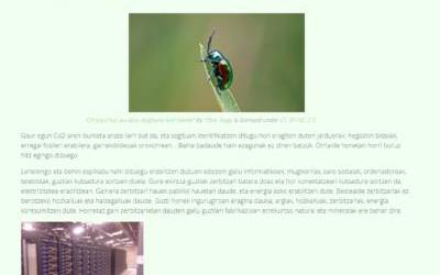 Ekoweb.eus