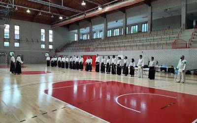Aikido ikastaroa egin dute asteburuan Elkargunean