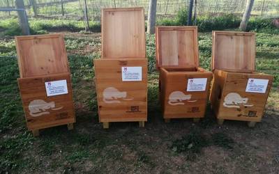 Abandonaturiko animaliak artatzeko protokolo bat egiteko eskatu diote Elorrioko Udalari
