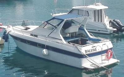 'Baleike' izeneko txalupa bat, Bermeon