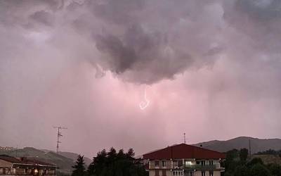 Hainbat zuhaitz bota ditu bart gaueko ekaitzak