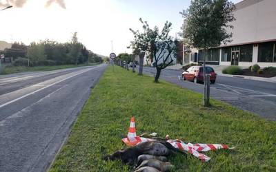 Auto batek basurde talde bat harrapatu du Atxondotik Abadiñora bidean, goizaldean