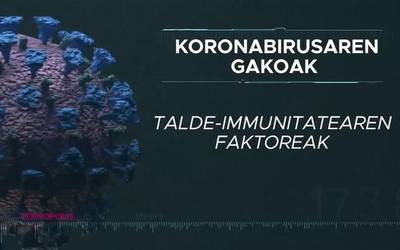 Talde-immunitatearen faktoreak