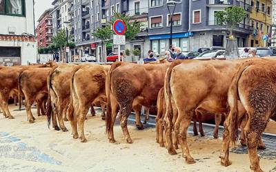 Baserritarren postuak eta ganadu feria, hil bukaerako ferian