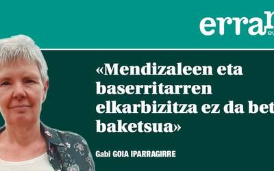 Ikusi mendizaleak, baso eta zelaiak...