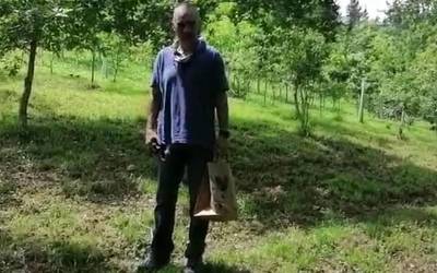 [BIDEOA] Iro Landaluzek bere hariztian gaur bertan batutako onddoak bideo batean erakutsi ditu