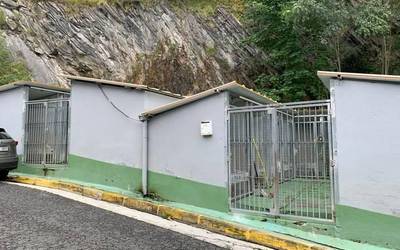 Mankomunitatearen animalien ongizate zerbitzuak 180 txakur eta katu baino gehiago artatu ditu azken urtean