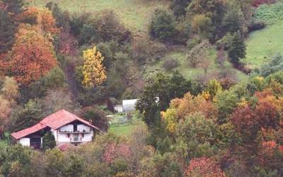 Larrabetzu, beste basogintza-eredu baterantz