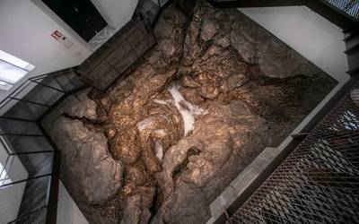 Artearengana iristeko gaitasuna