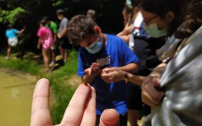 Gorbeialdeak bat egin du 'Herri bat, biodibertsitatearen aldeko ekintza bat' egitasmoarekin
