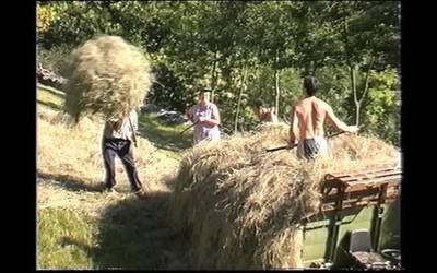 Lehengo eta oraingo udako kontuak Arantzan 2000. urtean