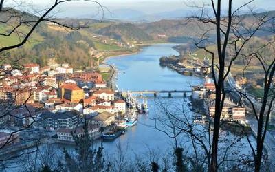 1.118 positibo hauteman dituzte Hego Euskal Herrian