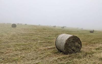 Halakoxea da, ba, uda Kantauriar Isurialdean