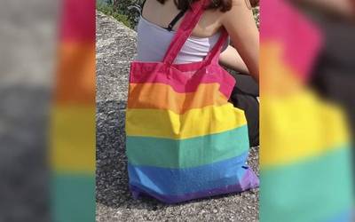 Hamabi urteko neska bat jazarri dute Zabalganean LGTBI poltsa batengatik