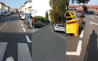 Zuriz margotu dute Txantreako eremu urdina