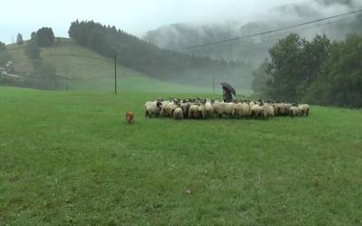 Gipuzkoakoan lehiatuko dira Arregi eta Bengoa