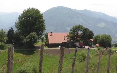 Tolosako Udalak landa bideak eta bide bazterreko sastrakak garbitzeko lanei ekin die